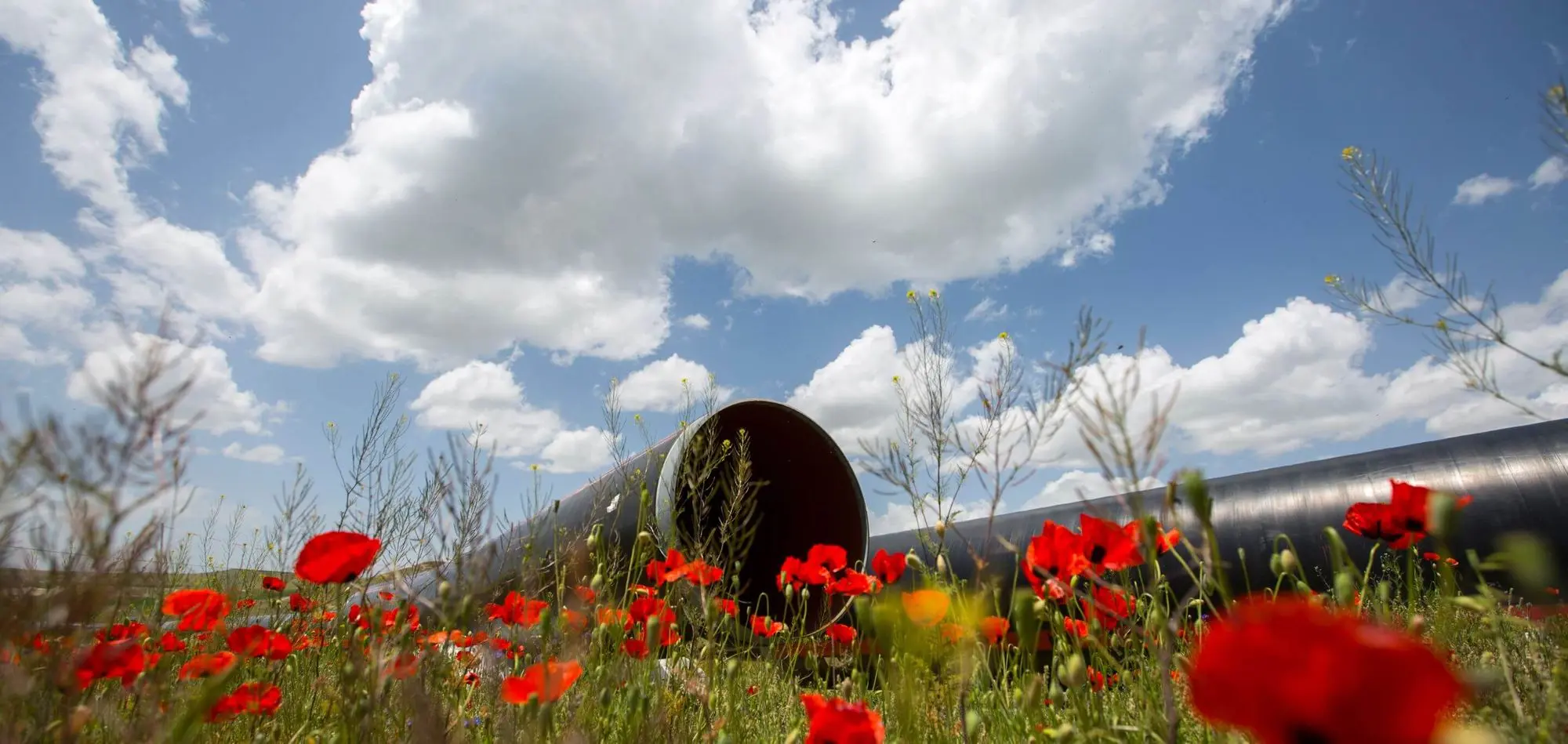 Tubería de Acero al Carbón en la Industria de Servicios